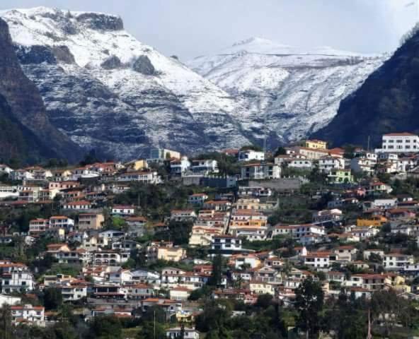 The Hill View House Villa Funchal  Kültér fotó